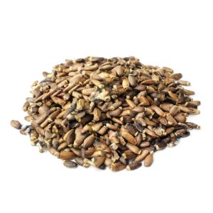 cardo mariano semillas